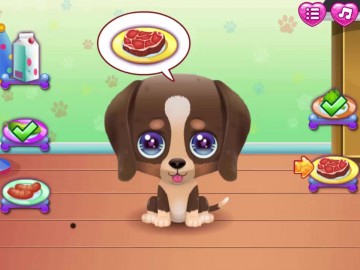 Cute Puppy Care