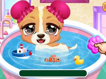 Puppy Fun Care